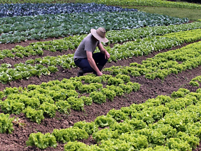 As Mãos que Alimentam a Memória: os artesãos que transformam a gastronomia da Paraíba em patrimônio&nbsp;cultural