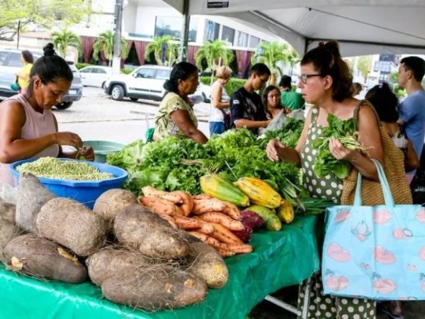 A João Pessoa que se come: memória, território e identidade à&nbsp;mesa